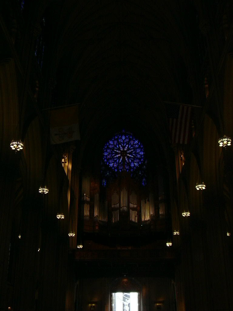 340  St.Patrick's Cathedral