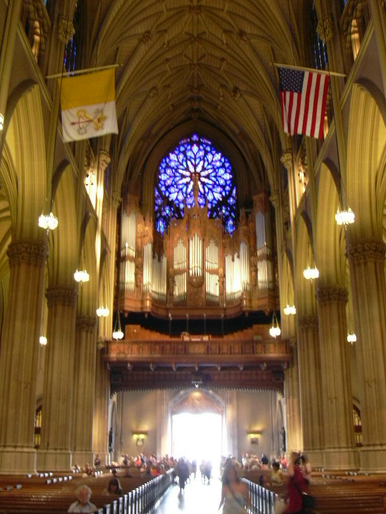 342 St.Patrick's Cathedral