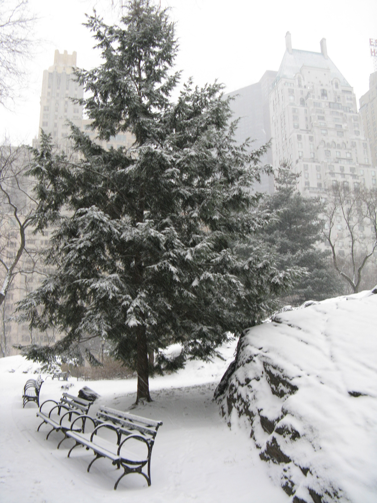 Peaceful Central Park