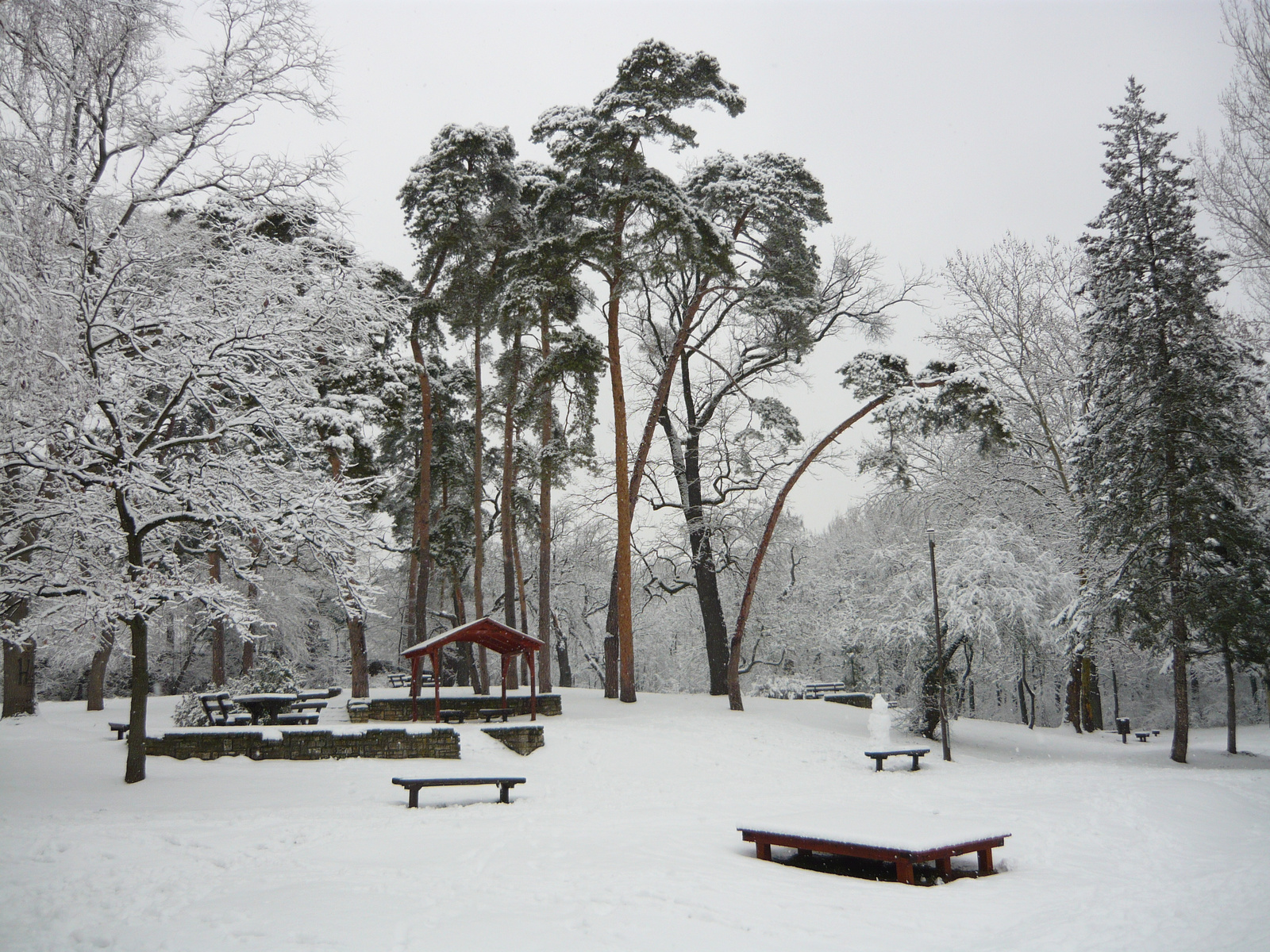 Nagyerdő