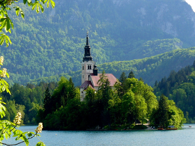 Bled