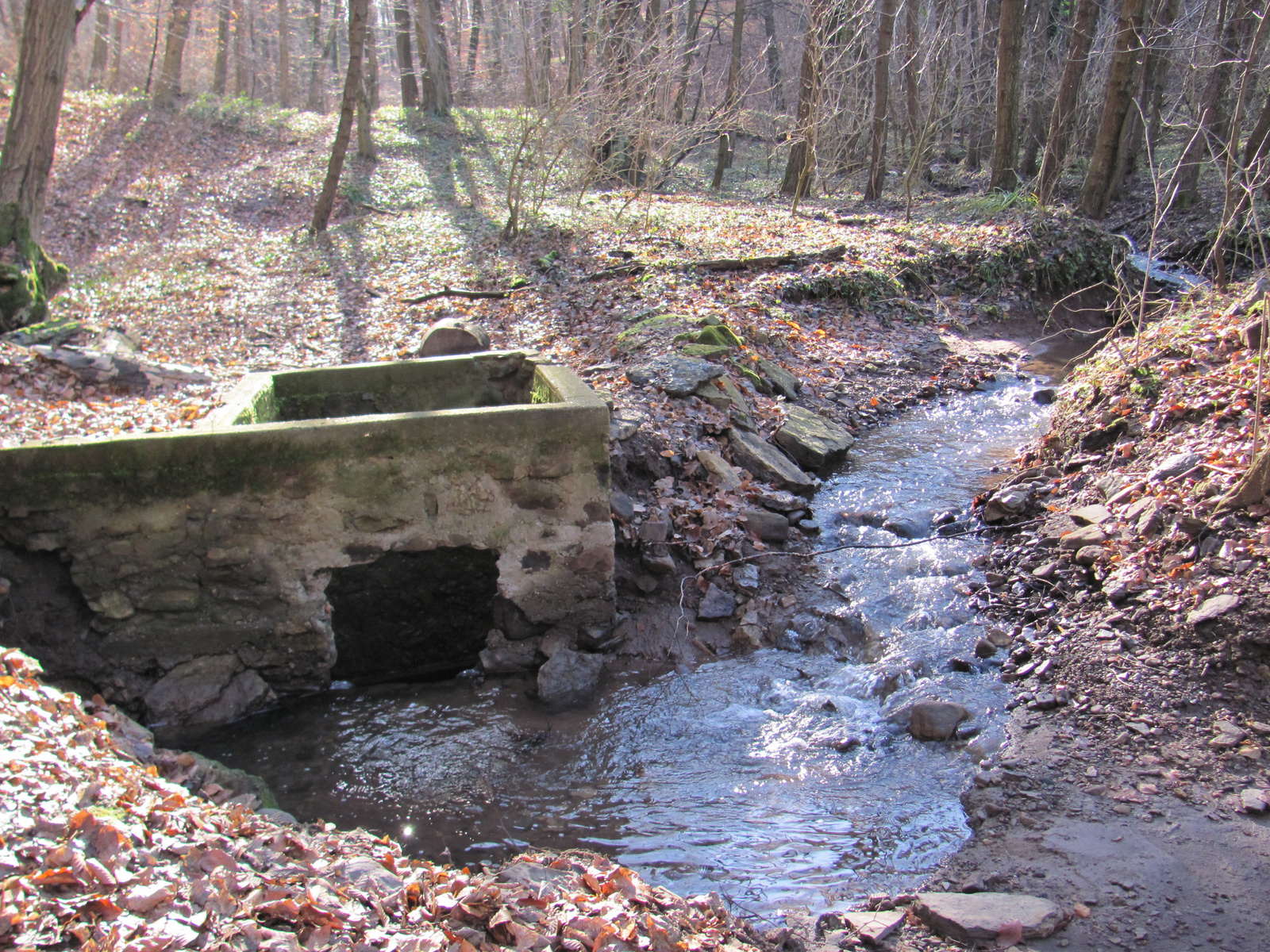 2011.01.16 Szuadó víznyelő barlang