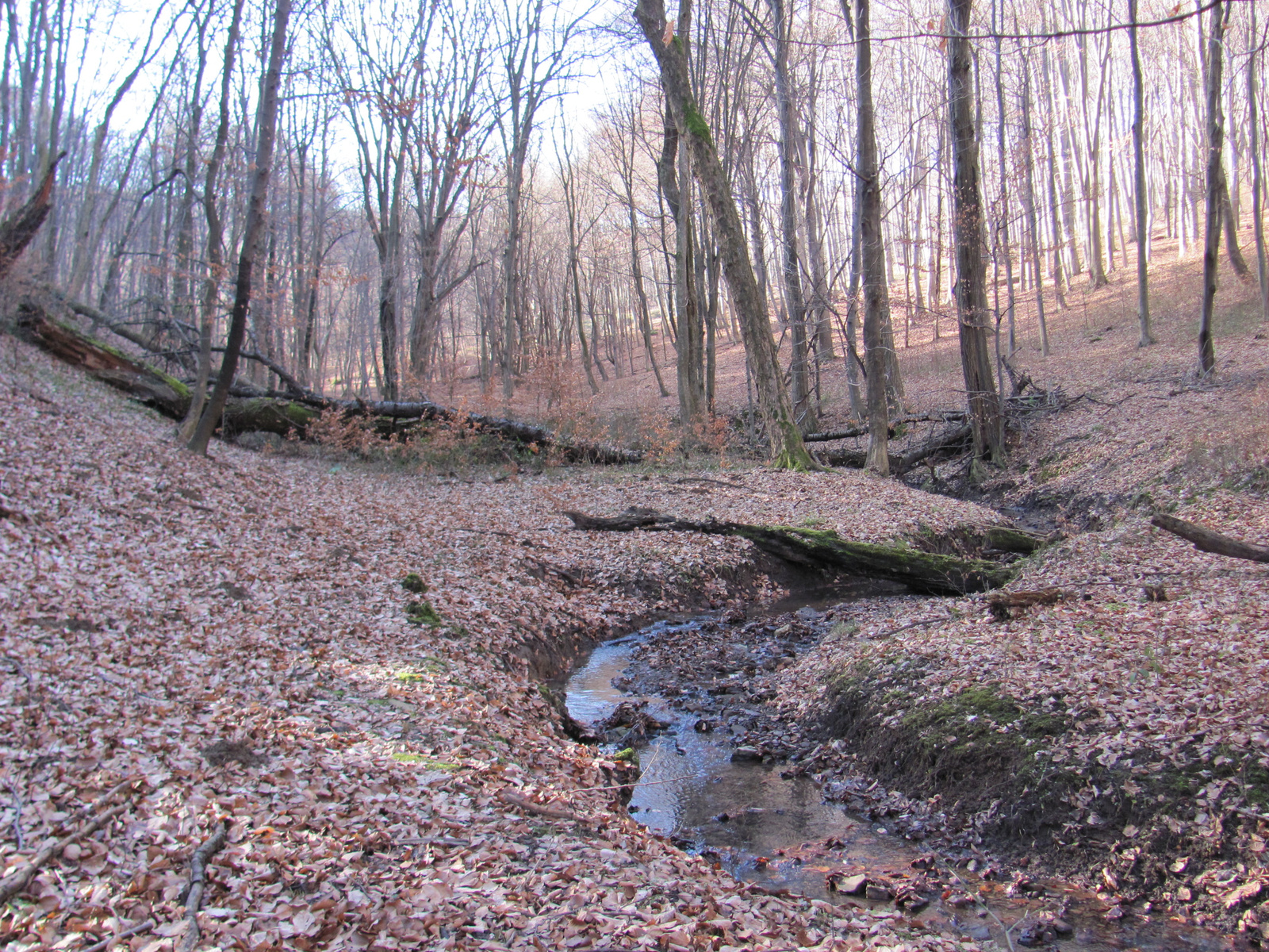 2011.01.16 Orfű jakabhegy Patacs 019