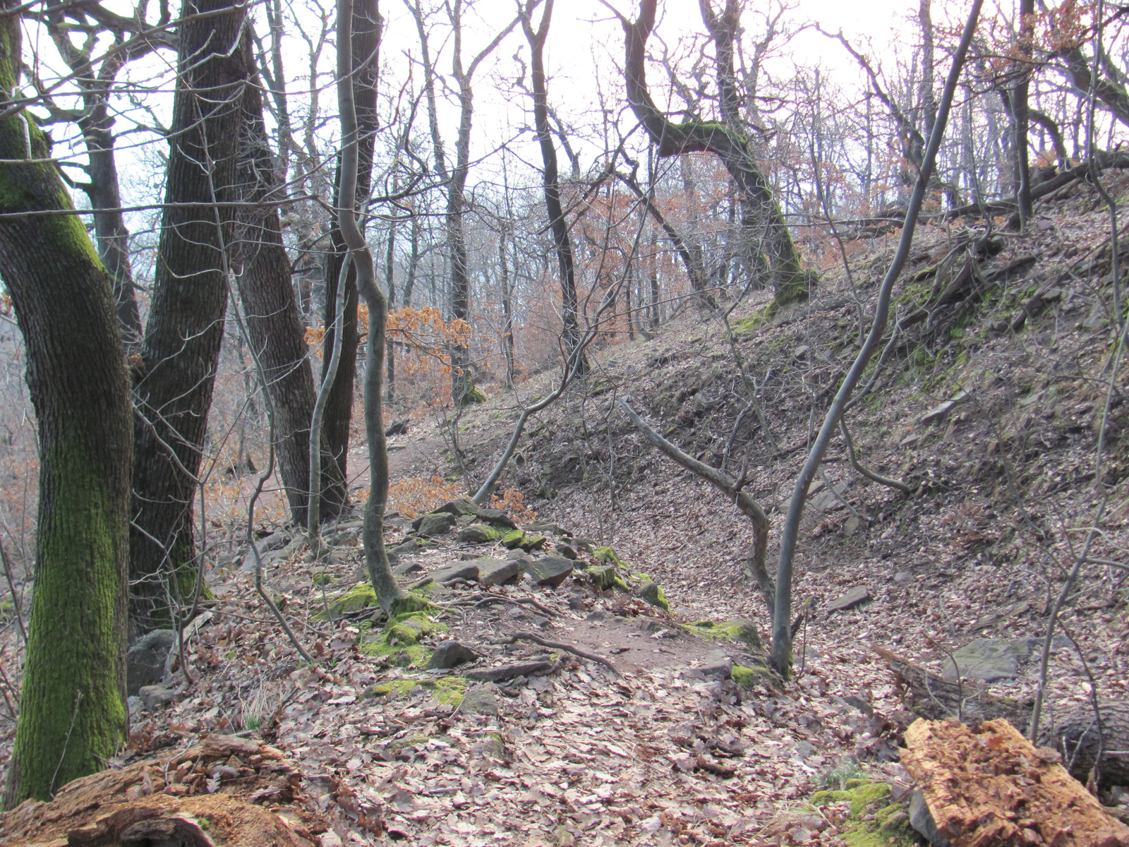 2011.01.16 Orfű jakabhegy Patacs 099