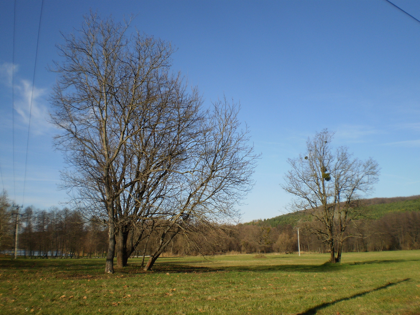 20101113 Orfűi sárkányok 120