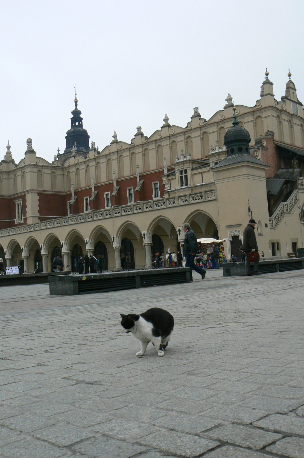 Sukiennice Krakkó