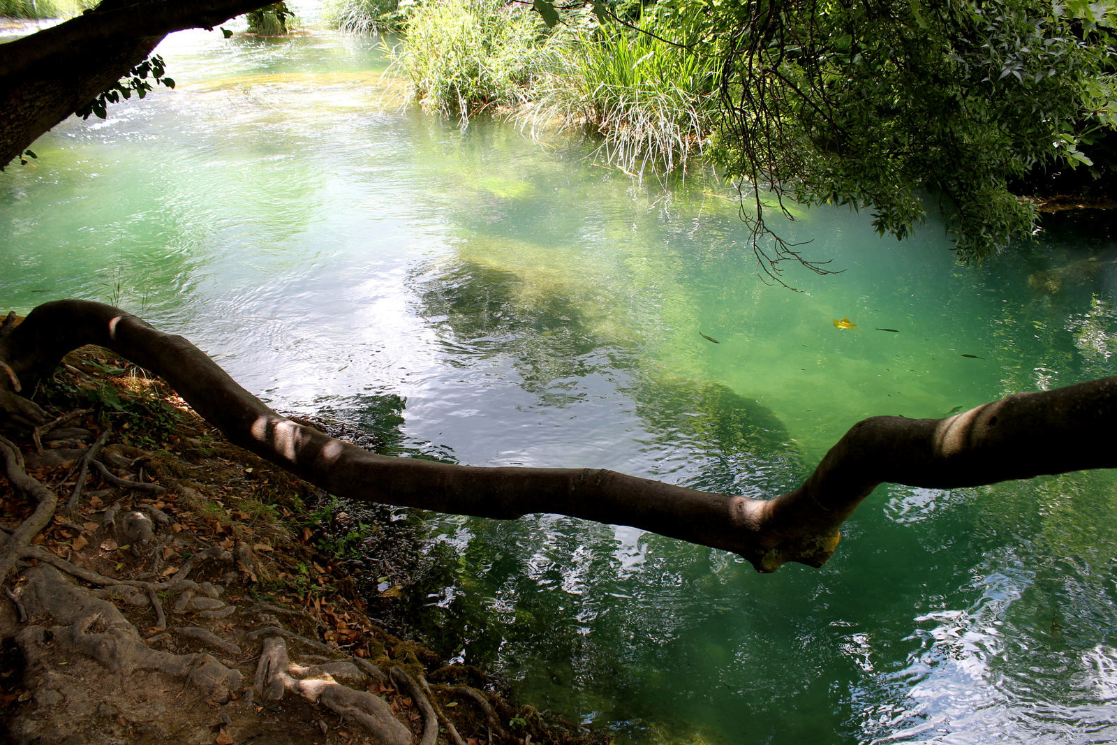 KRKA