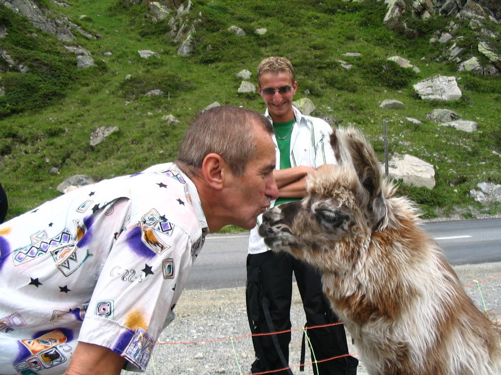 Alpentour Láma-puszi a svájci Alpokban (649)