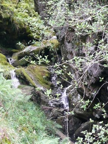 Rowardennan - Beinglas Farm