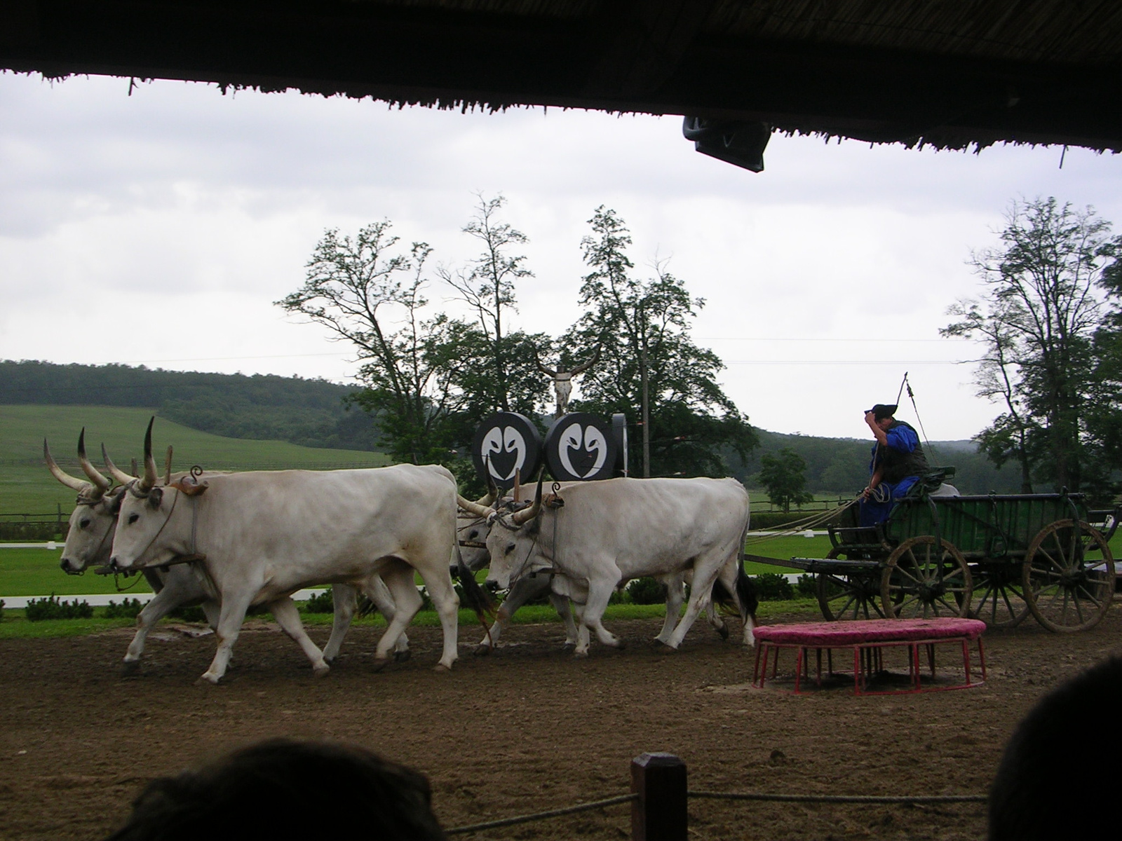 Vándortábor-2008-Cserhát 214