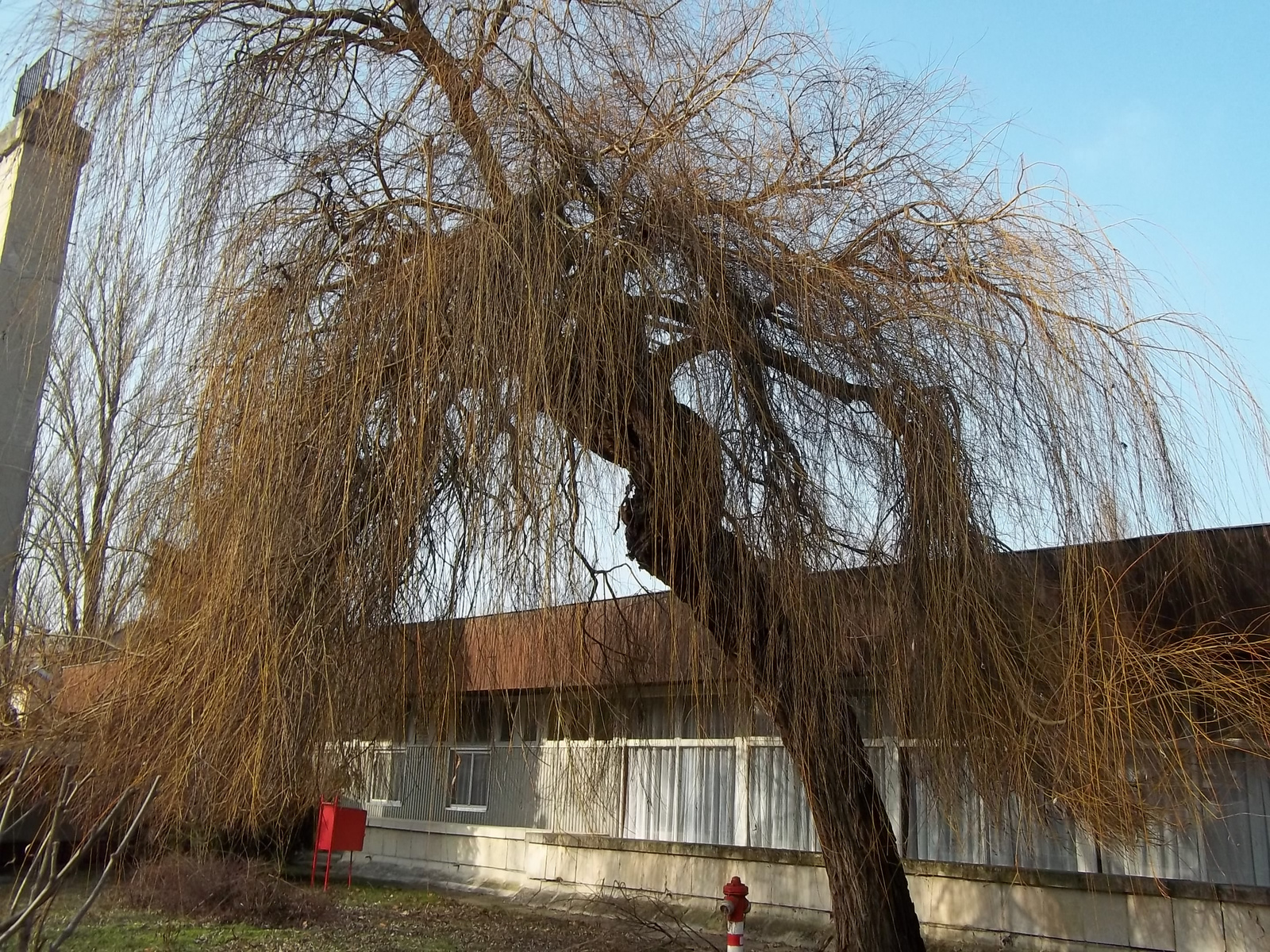 2011.02.02 téli Balaton mentén a déli parton 018