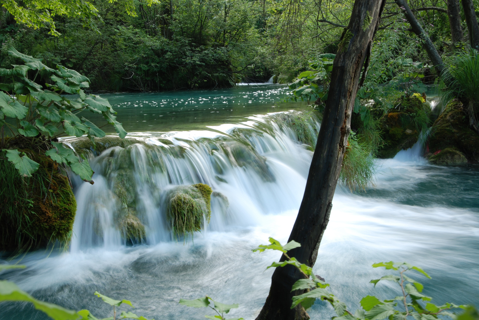 Plitvicei tavak