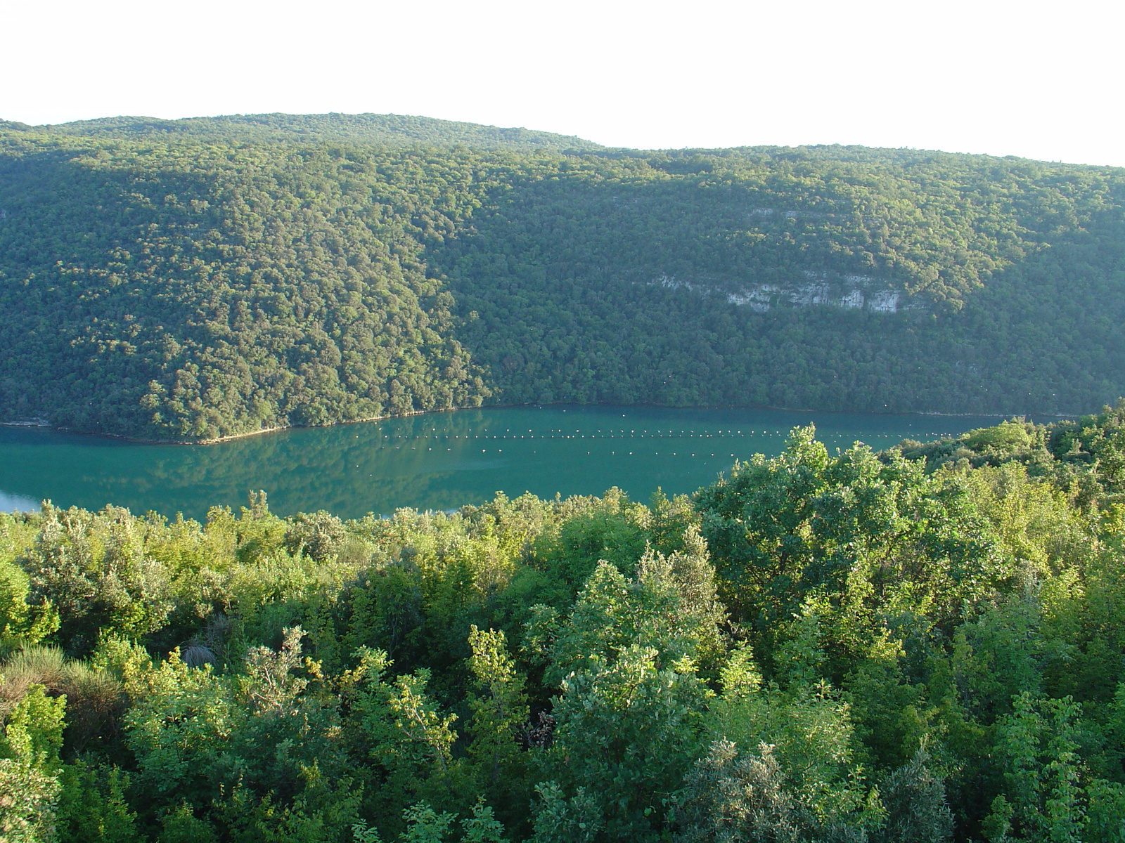 A Limski-kanal