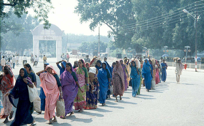 Colorful Sari Parade