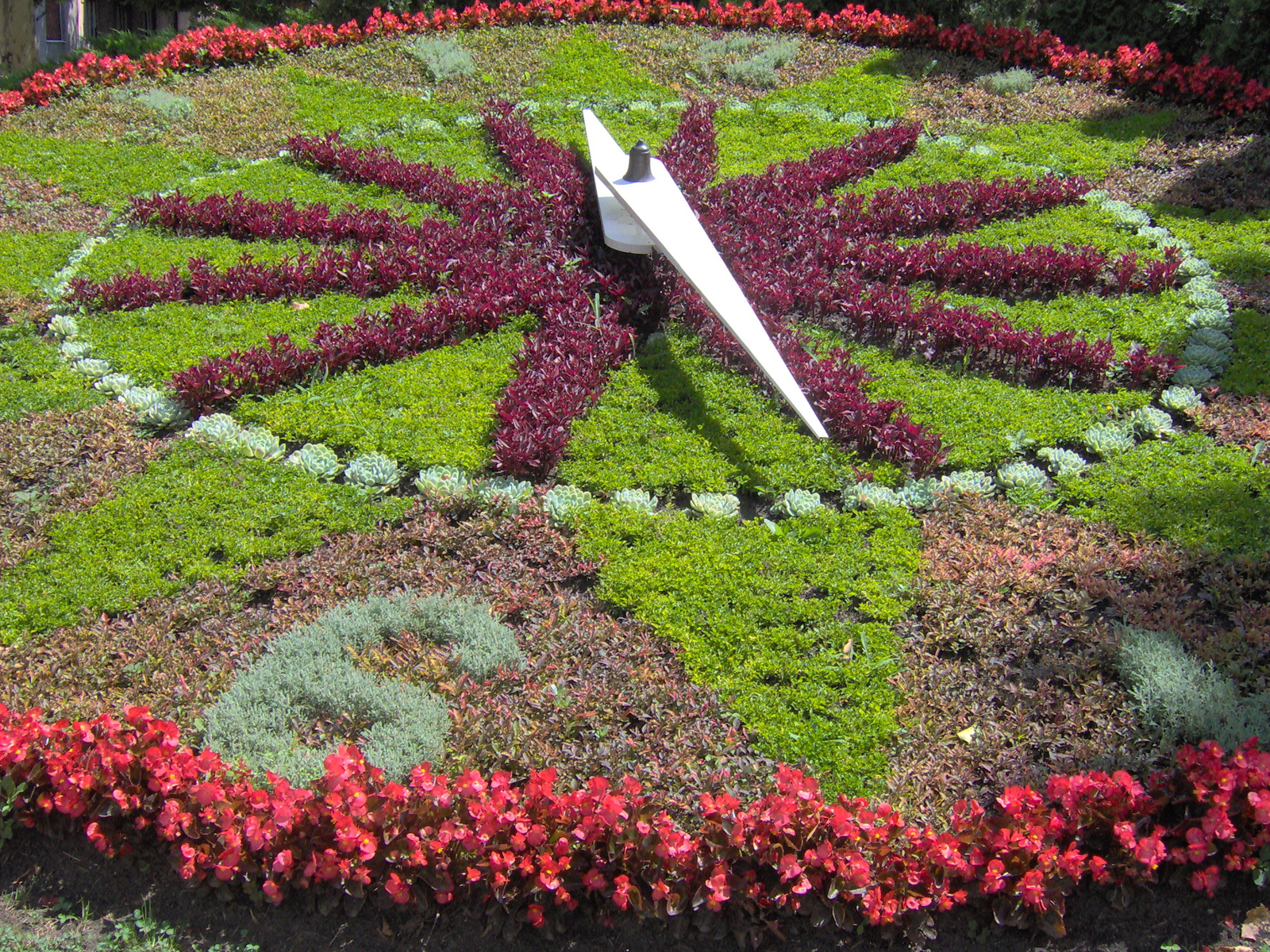Szfehérvári  virág-óra
