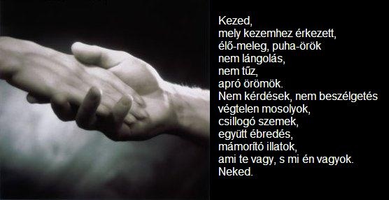 Kezed2