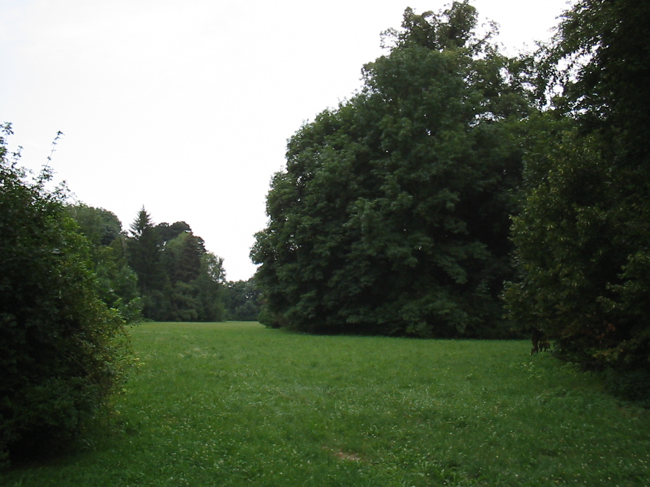 Sopronhorpács Széchenyi kastély parkja