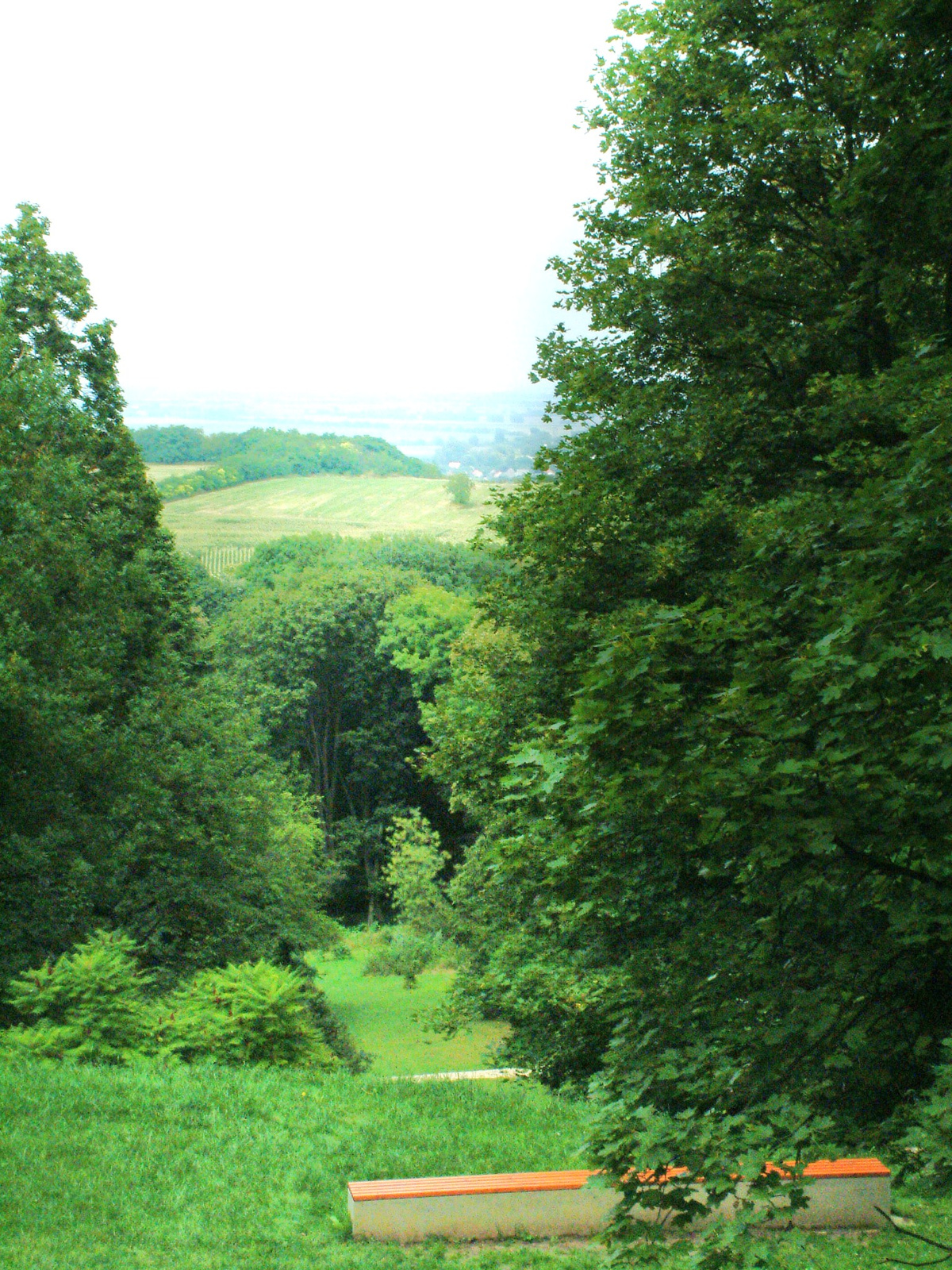 2011.07-Pannonhalmi-Levendulaültetvény -Arborétum! 049