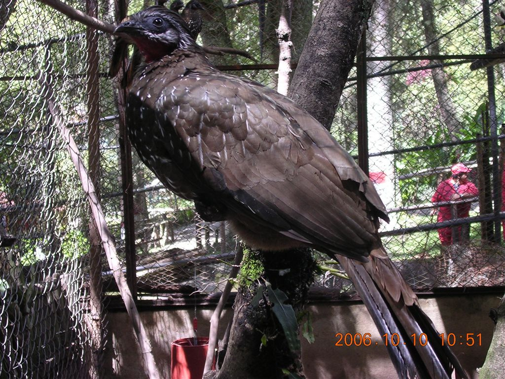 094 Mérida - Parque Zoológico Chorros de Milla