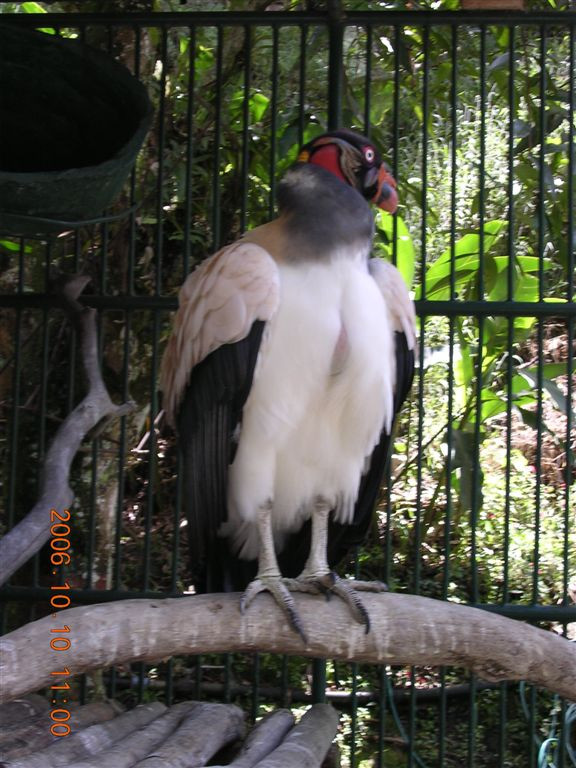 101 Mérida - Parque Zoológico Chorros de Milla