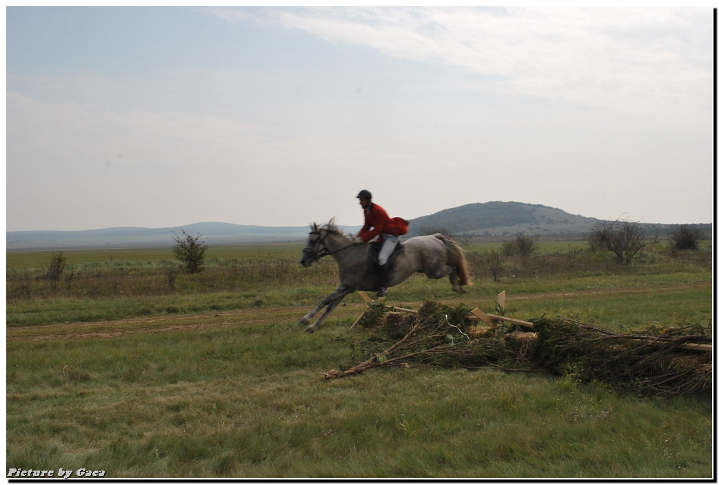 vadaszlovigaca201000104