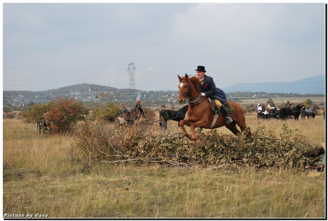 vadaszlovigaca201000160