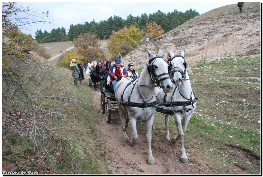 vadaszlovigaca201000190