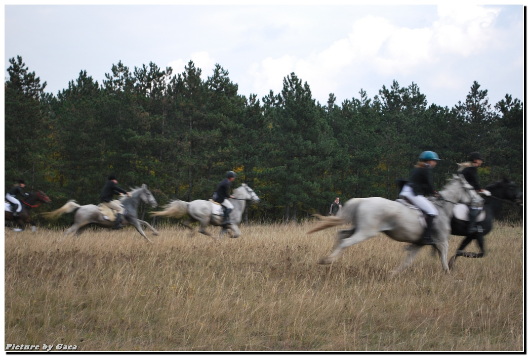 vadaszlovigaca201000204