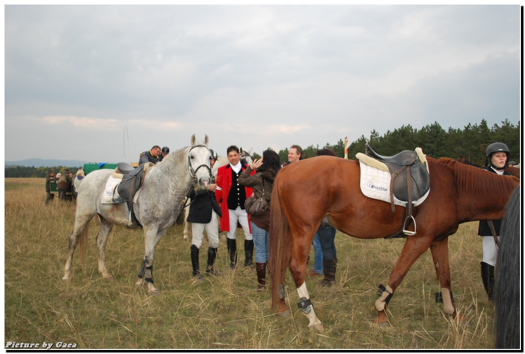 vadaszlovigaca201000210