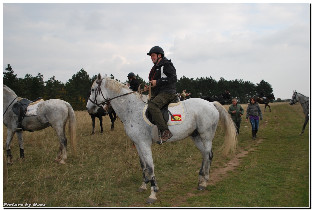 vadaszlovigaca201000214