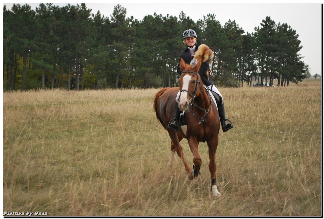 vadaszlovigaca201000220