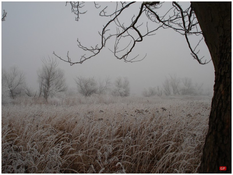 Téli Nagyberek, Balatonkeresztúrnál