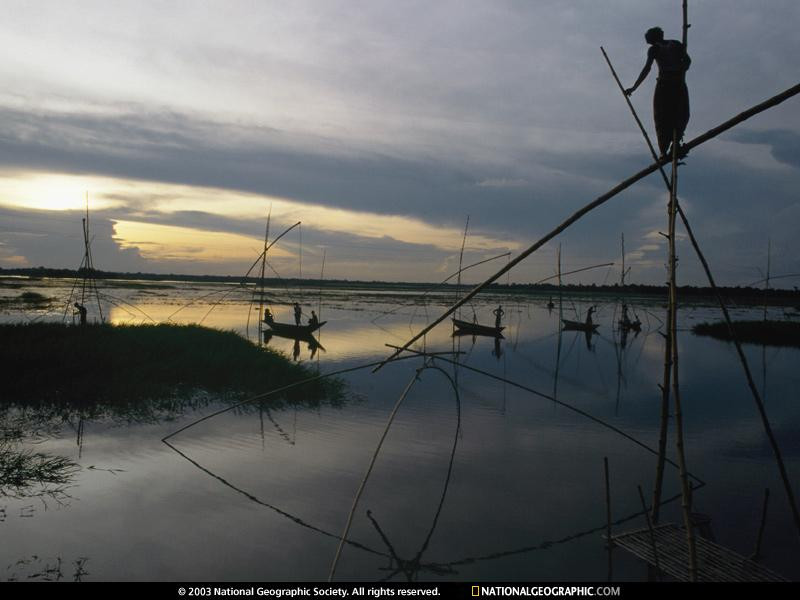 bengali-fisherman-481510-sw (Medium)