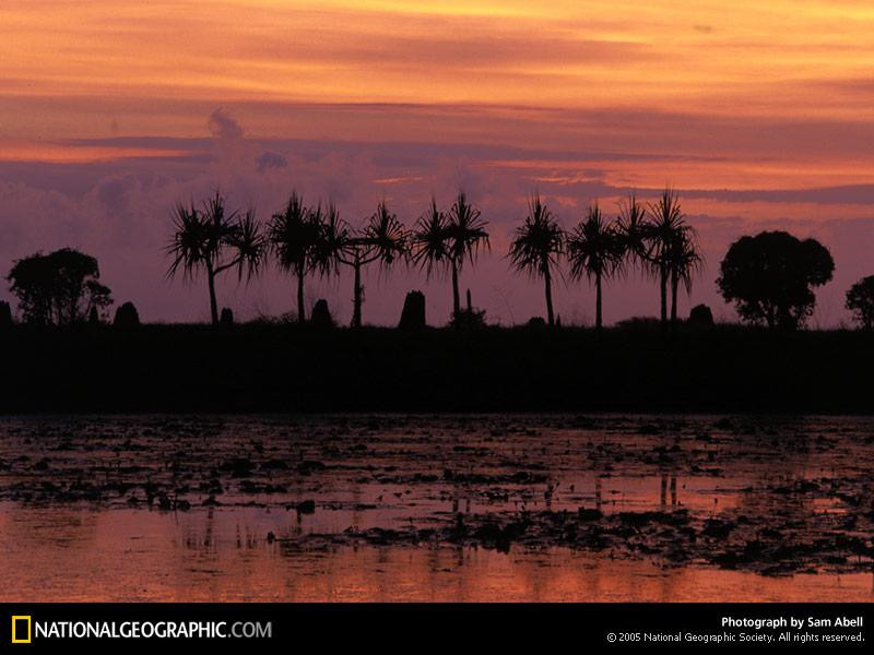 cape-york-sunset-504078-sw (Medium)