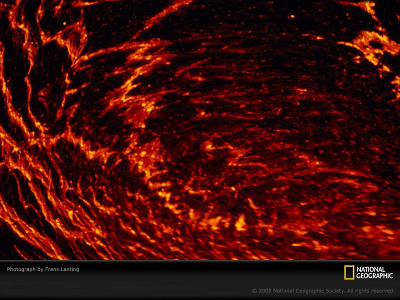 molten-lava-flow-lanting-763906-sw (Medium)