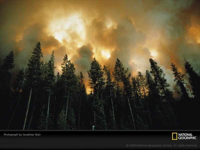 pines-fire-blair-444449-sw (Medium)