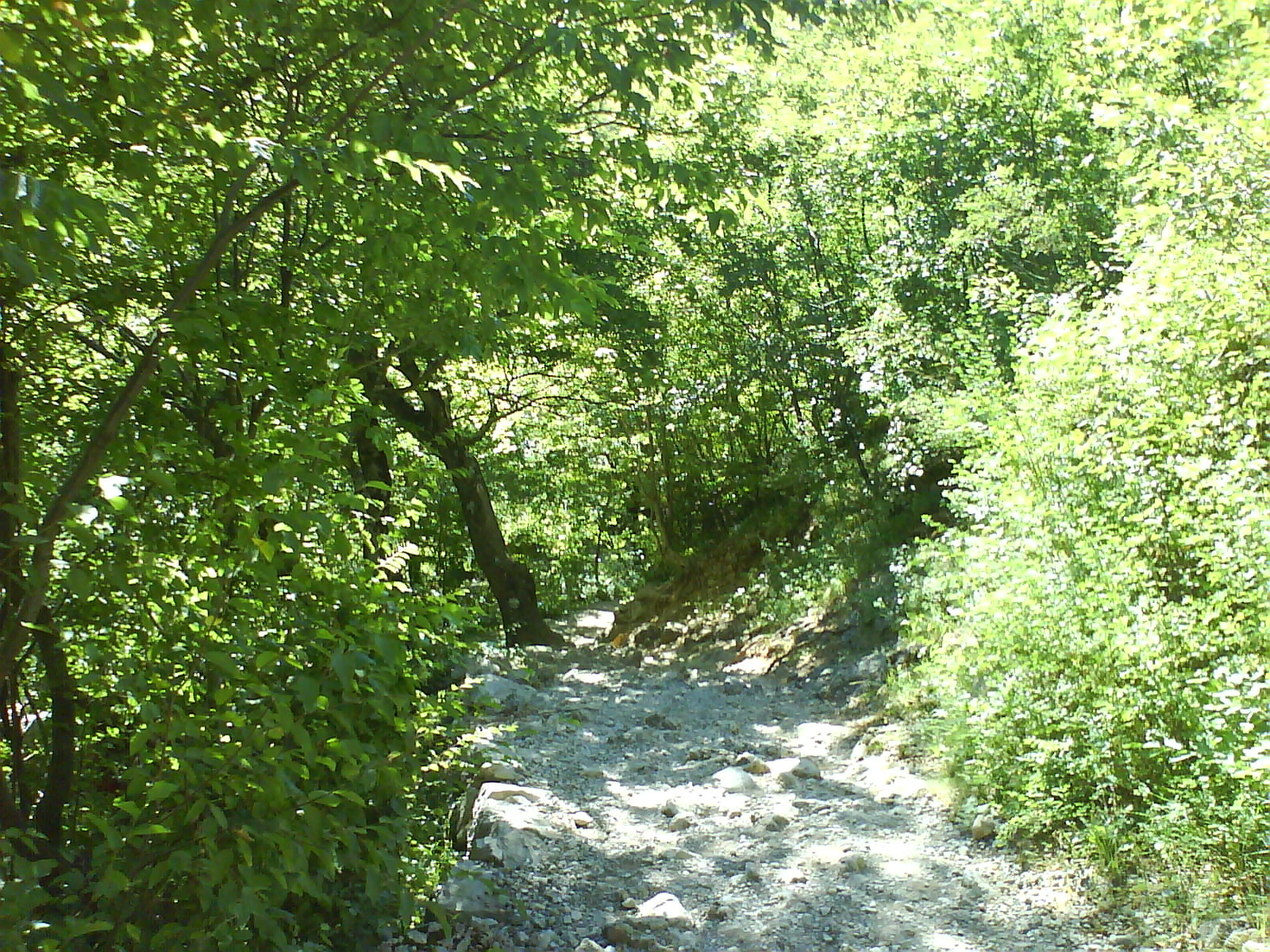 Paklenica