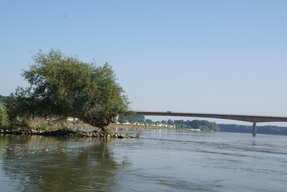 A Bezdán-Batina híd.