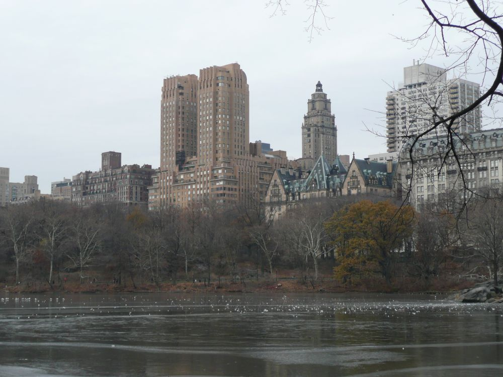 Central Park