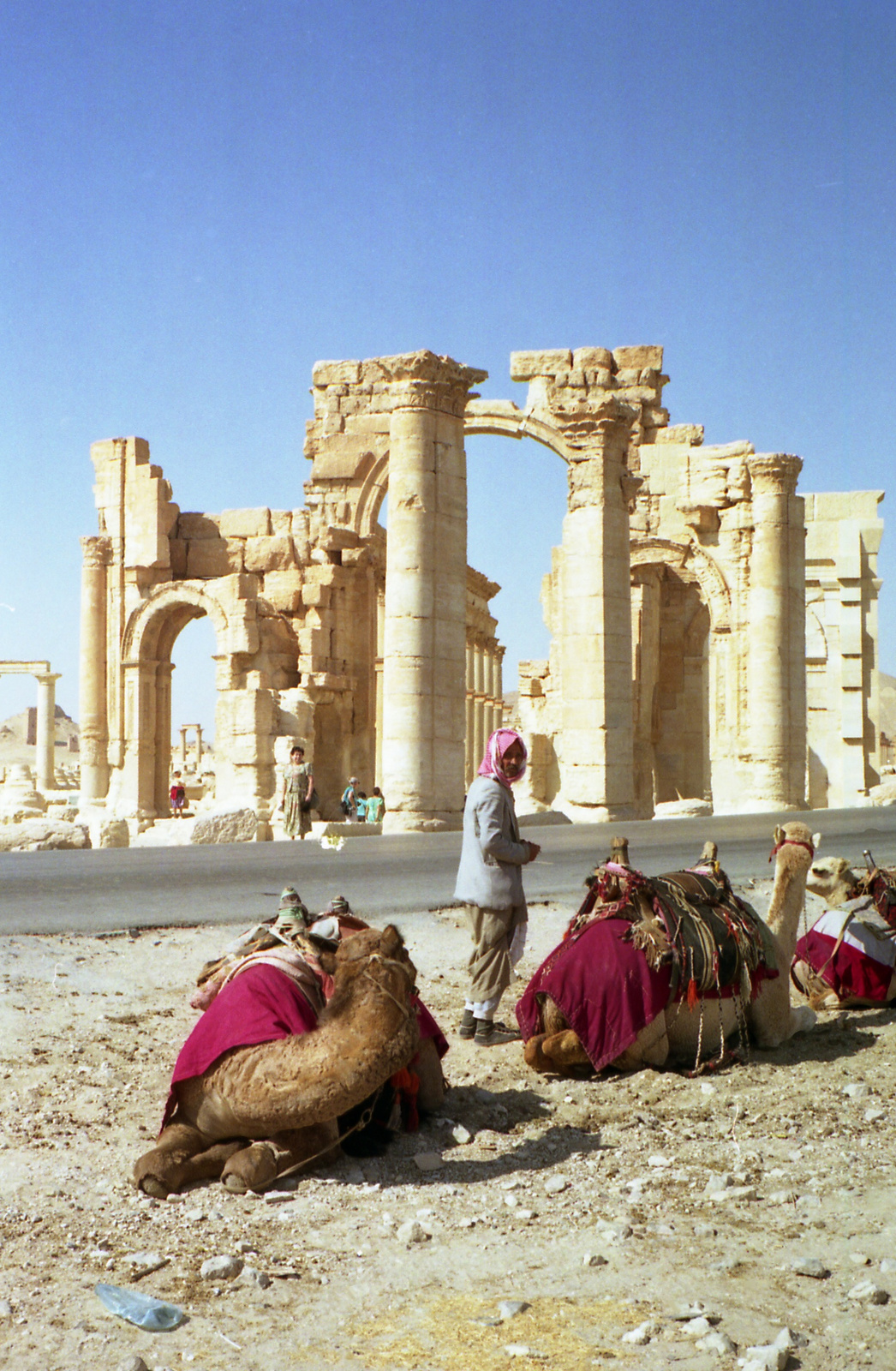 596 Palmyra