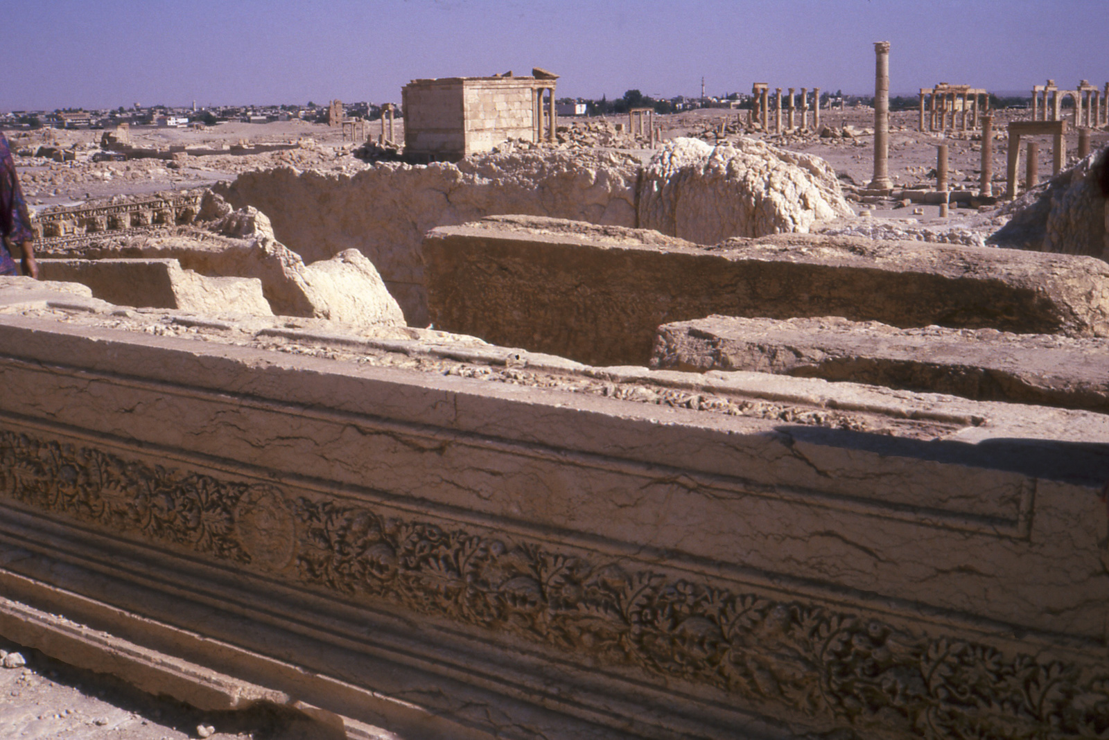 085 Palmyra