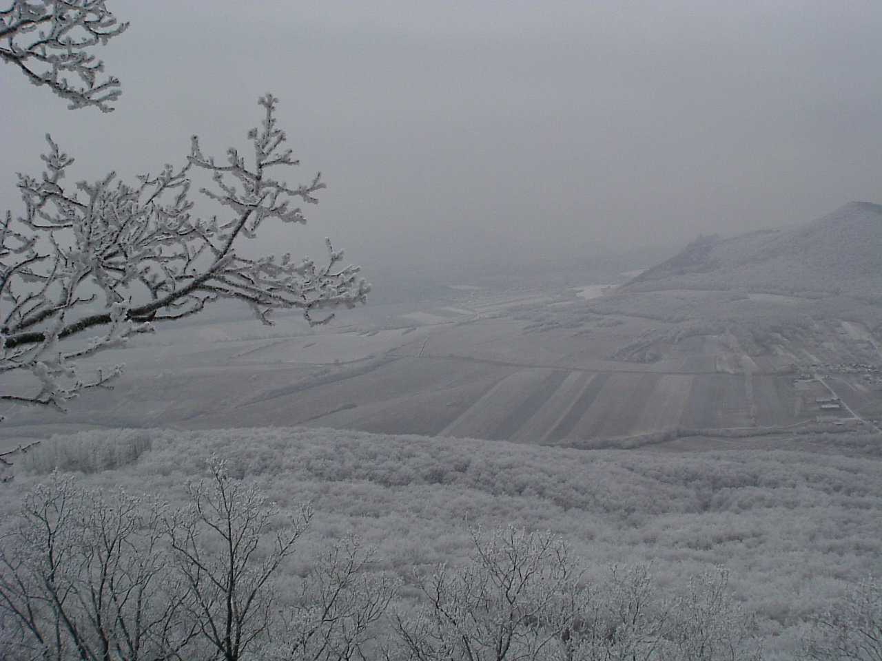 DSCF6445Bába-hegyen