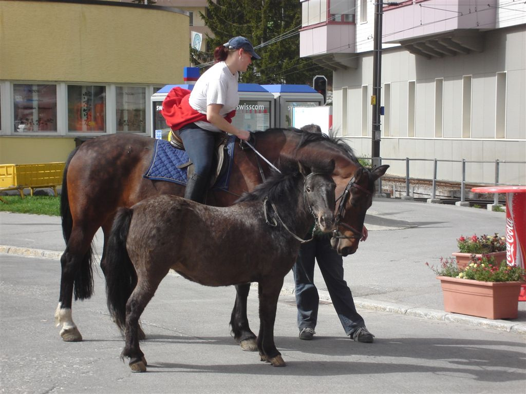 Svájci képek 2008 137