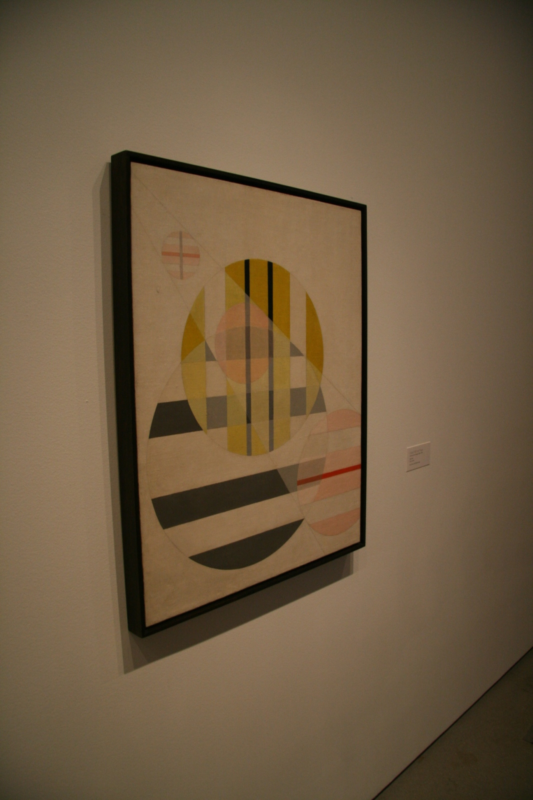 moholy-nagy