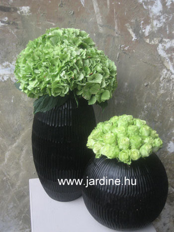 jardine zöld fekete vázában home