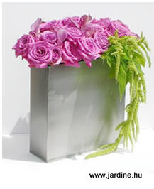 jardine pink rózsa vázában