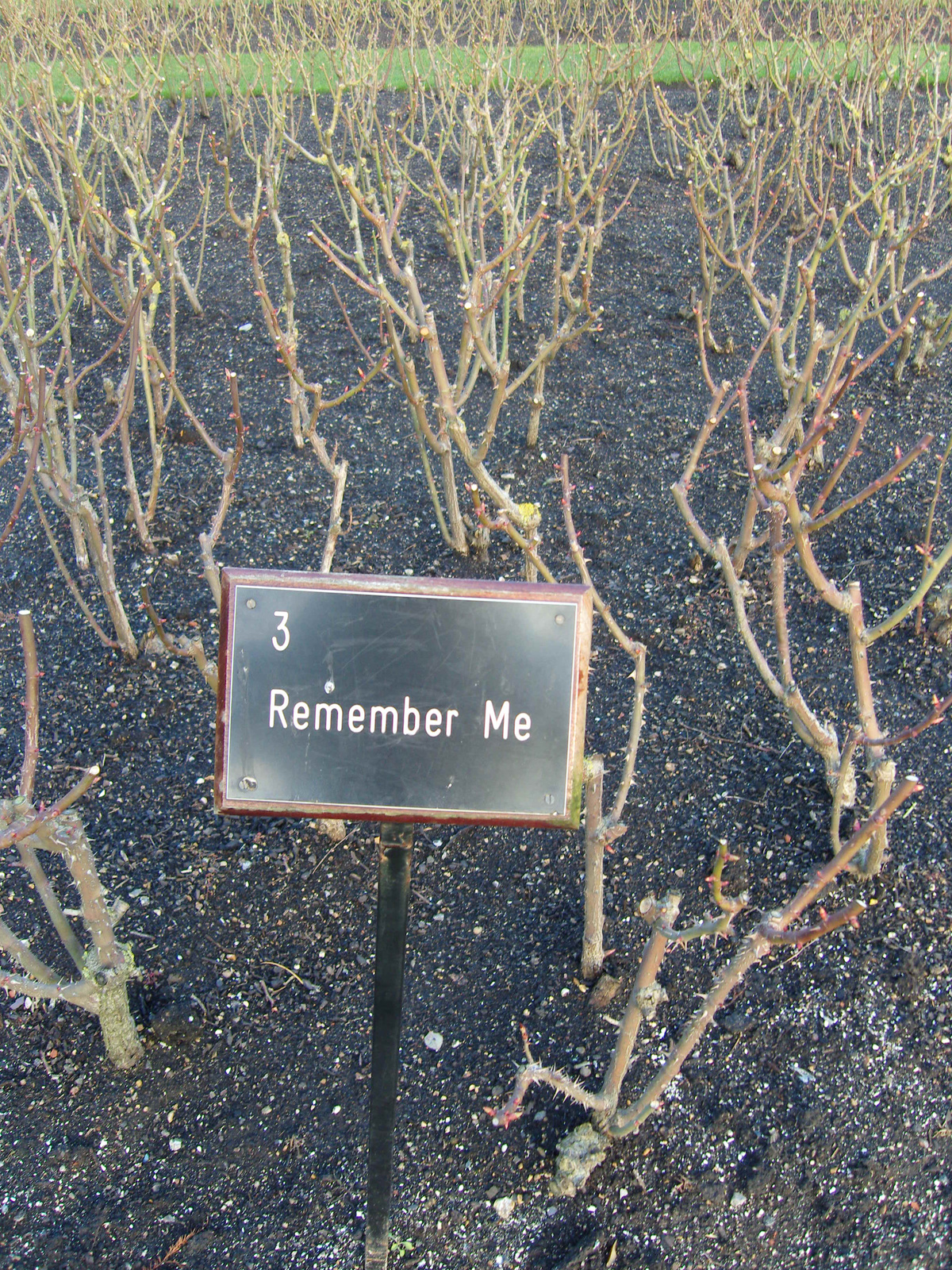 Regent's Park