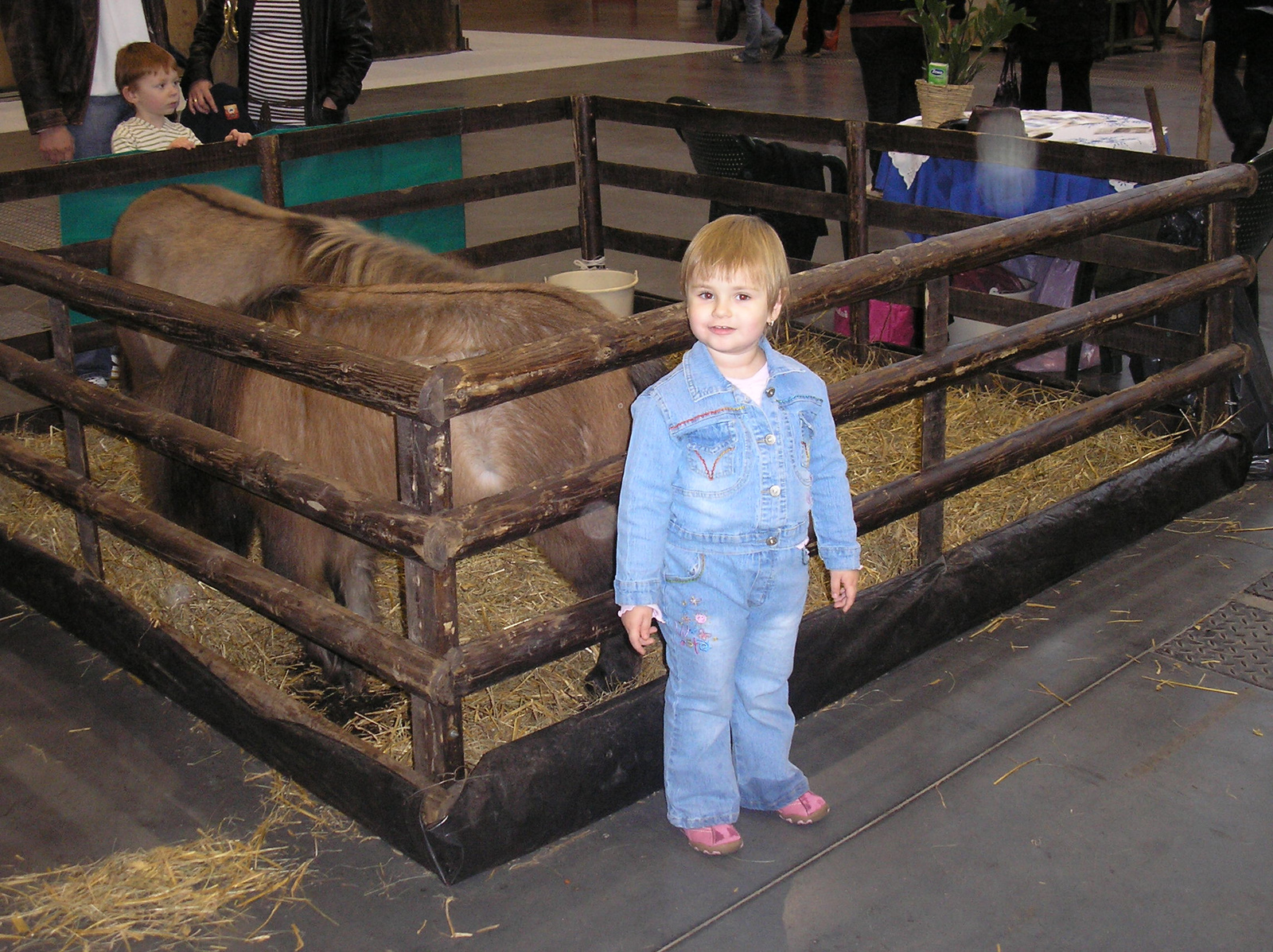 Equifest a ló ünnepe 2009.11.08. 002