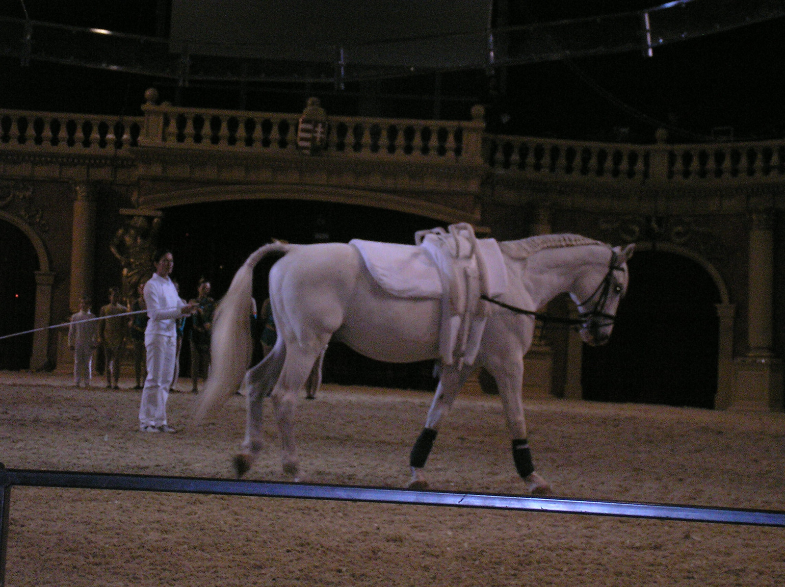 Equifest a ló ünnepe 2009.11.08. 035