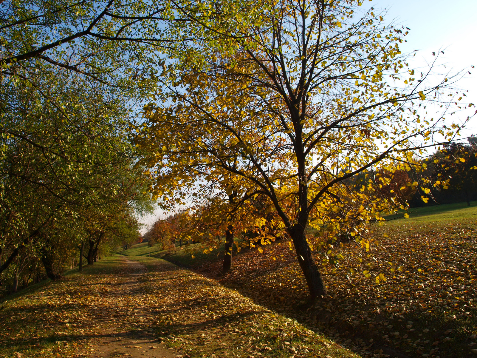 Dunaújváros ősz